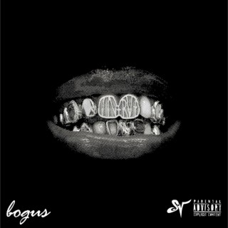 bogus lyrics | Boomplay Music