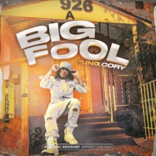 Big Fool lyrics | Boomplay Music