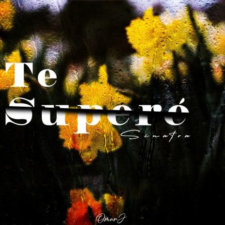 Te Superé | Boomplay Music