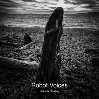 Robot Voices