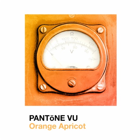 Orange Apricot | Boomplay Music