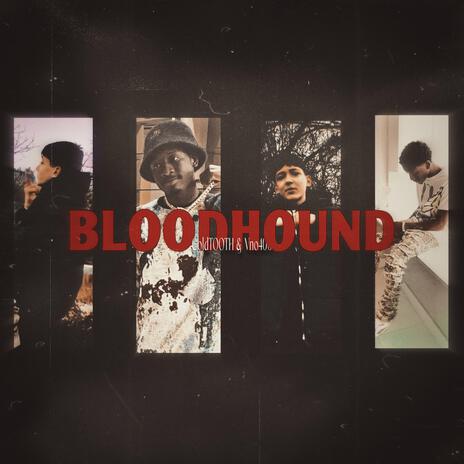 BLOODHOUND ft. Vno400 | Boomplay Music