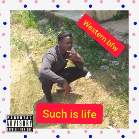 Such is life | Boomplay Music