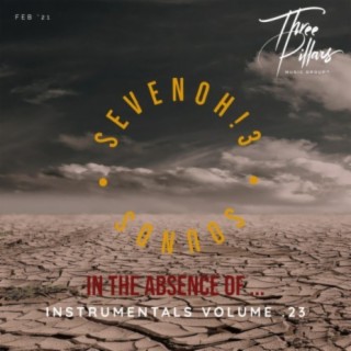 In the Absence Of ... instrumentals, Vol. 23