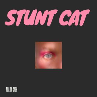 Stunt cat