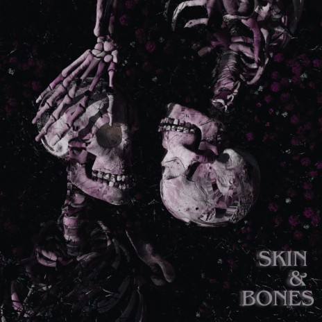 Skin & Bones | Boomplay Music