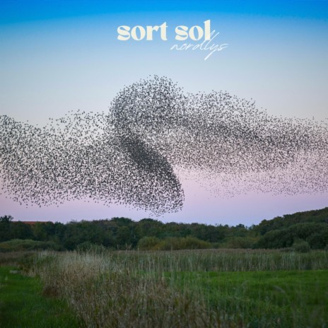 Sort Sol | Boomplay Music