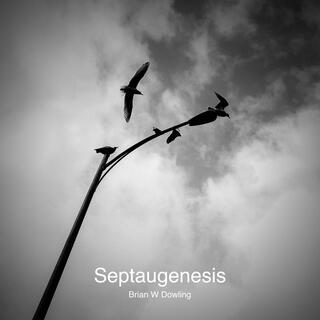 Septaugenesis