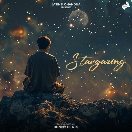 Stargazing | Boomplay Music