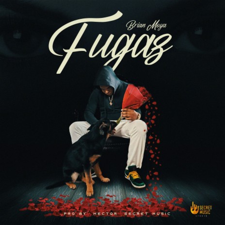 Fugaz | Boomplay Music