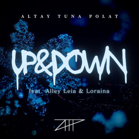 Up & Down (feat. Alley Leia & Loraina) | Boomplay Music