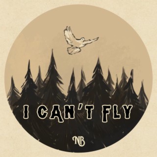 I Can't Fly