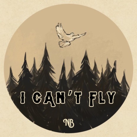 I Can't Fly | Boomplay Music