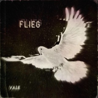 Flieg