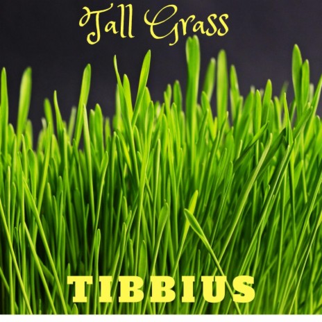 Tall Grass