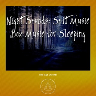 Night Sounds: Soft Music Box Music for Sleeping