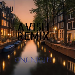 One night (Avishx Remix)