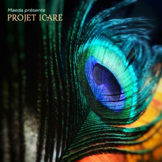 Projet Icare