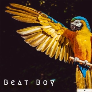 Beat Boy