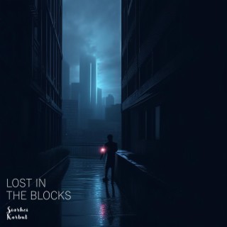 Lost in the Blocks