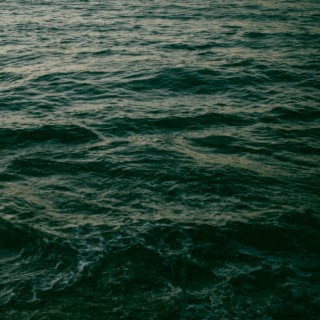 The Sea