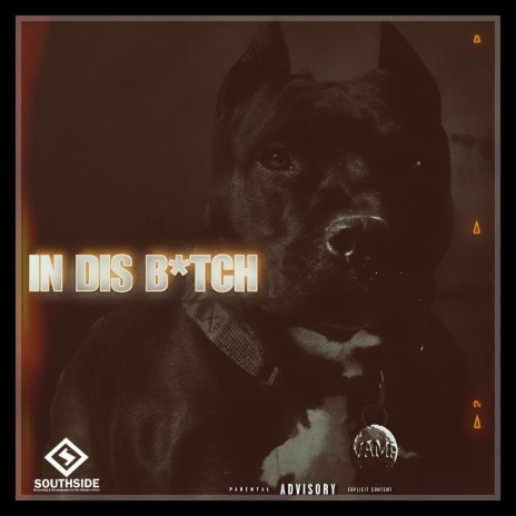 In This Bitch ft. Nitty | Boomplay Music