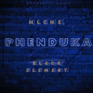Phenduka (feat. MLCMX)