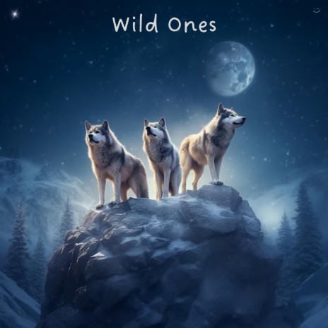 Wild Ones | Boomplay Music