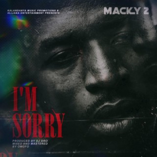 I'm Sorry lyrics | Boomplay Music