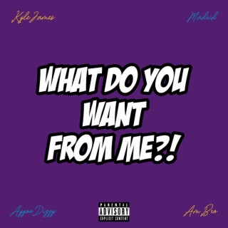 What Do You Want from Me?! (Remix)
