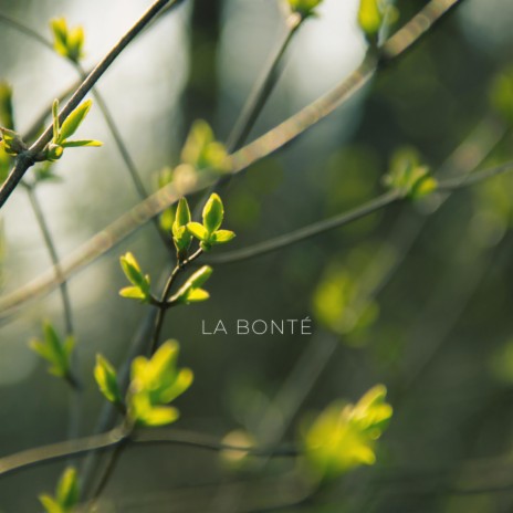 La Bonté ft. Emotion of Keys | Boomplay Music