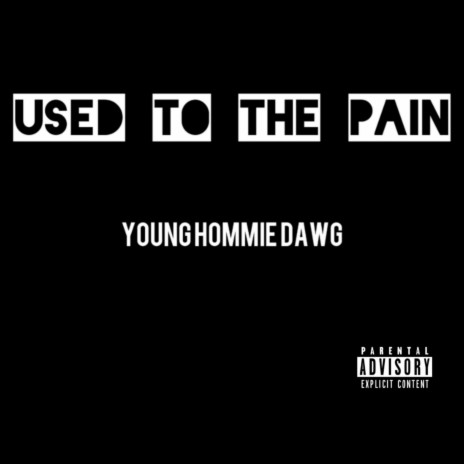 Used To The Pain | Boomplay Music