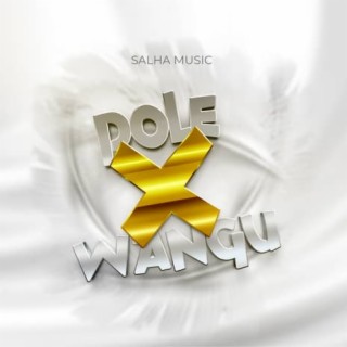 Pole X Wangu lyrics | Boomplay Music