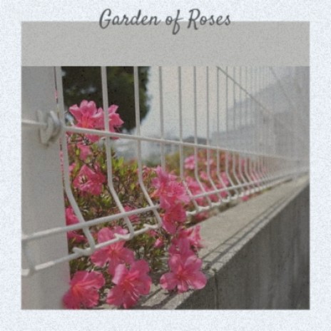 Meditation: Flute and Harp | Boomplay Music
