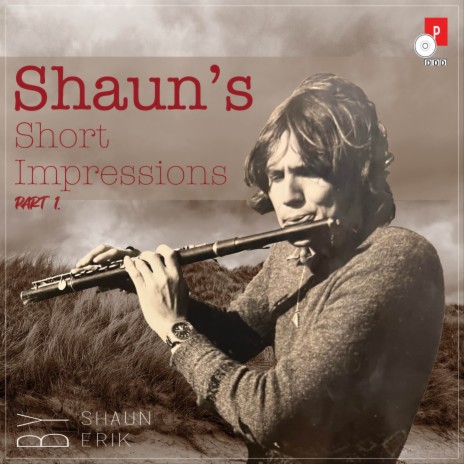 Flauta Flamenca (arr.) ft. Shaun Erik & Frank de Vries