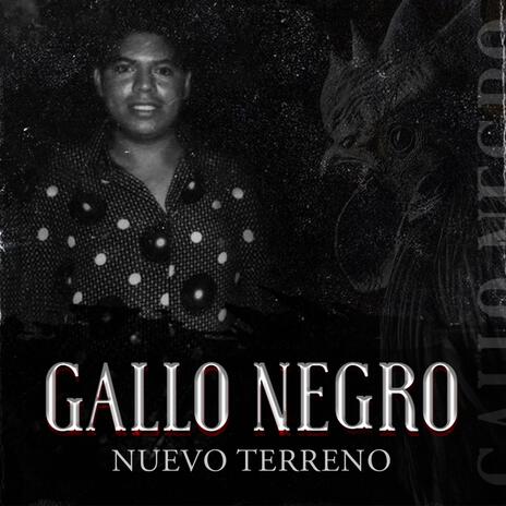 Gallo Negro