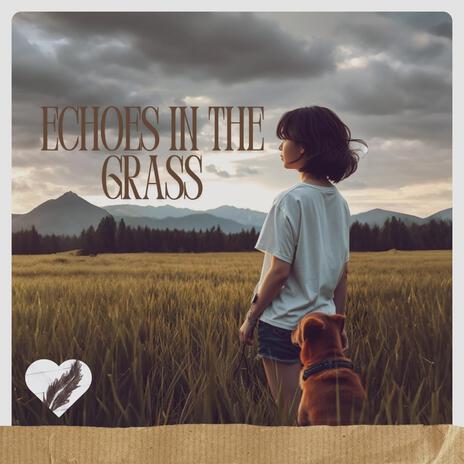 Echoes in the Grass | Boomplay Music