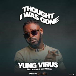 YungVirus