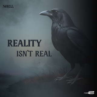 Reality Isn't Real