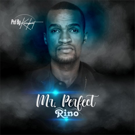Mr Perfect | Boomplay Music