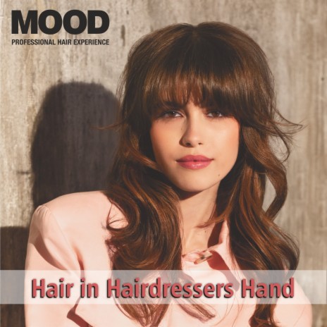 Hair in Hairdressers Hand | Boomplay Music