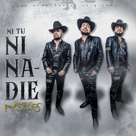 Ni tu ni nadie | Boomplay Music