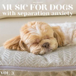 Music for Dogs with Separation Anxiety Vol. 3