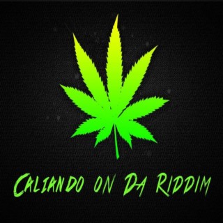 Who That On The Riddim, Vol. 14