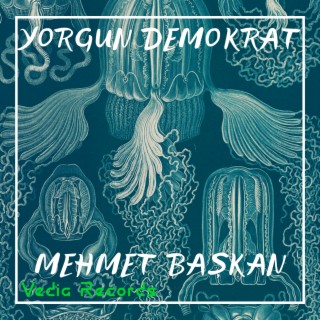 Yorgun Demokrat