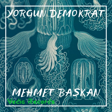 Yorgun Demokrat | Boomplay Music