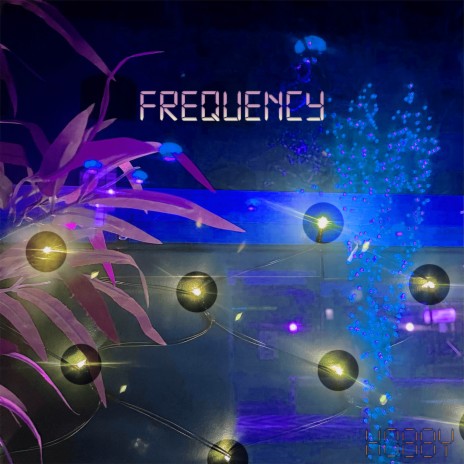 Frequency | Boomplay Music