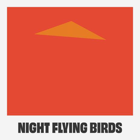 Night Flying Birds | Boomplay Music