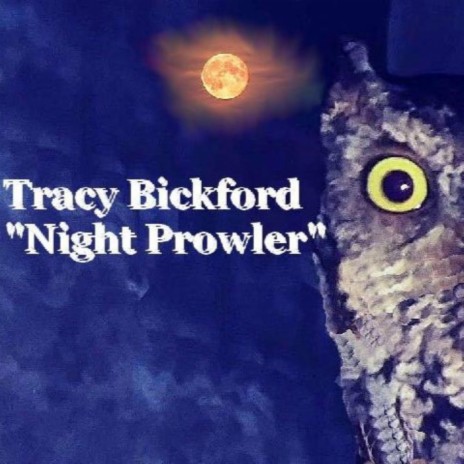 NIGHT PROWLER | Boomplay Music