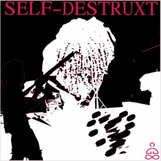 SELF-DESTRUXT